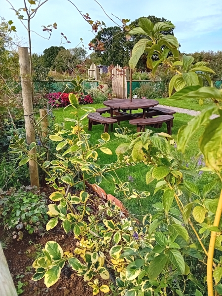 The Potting Shed